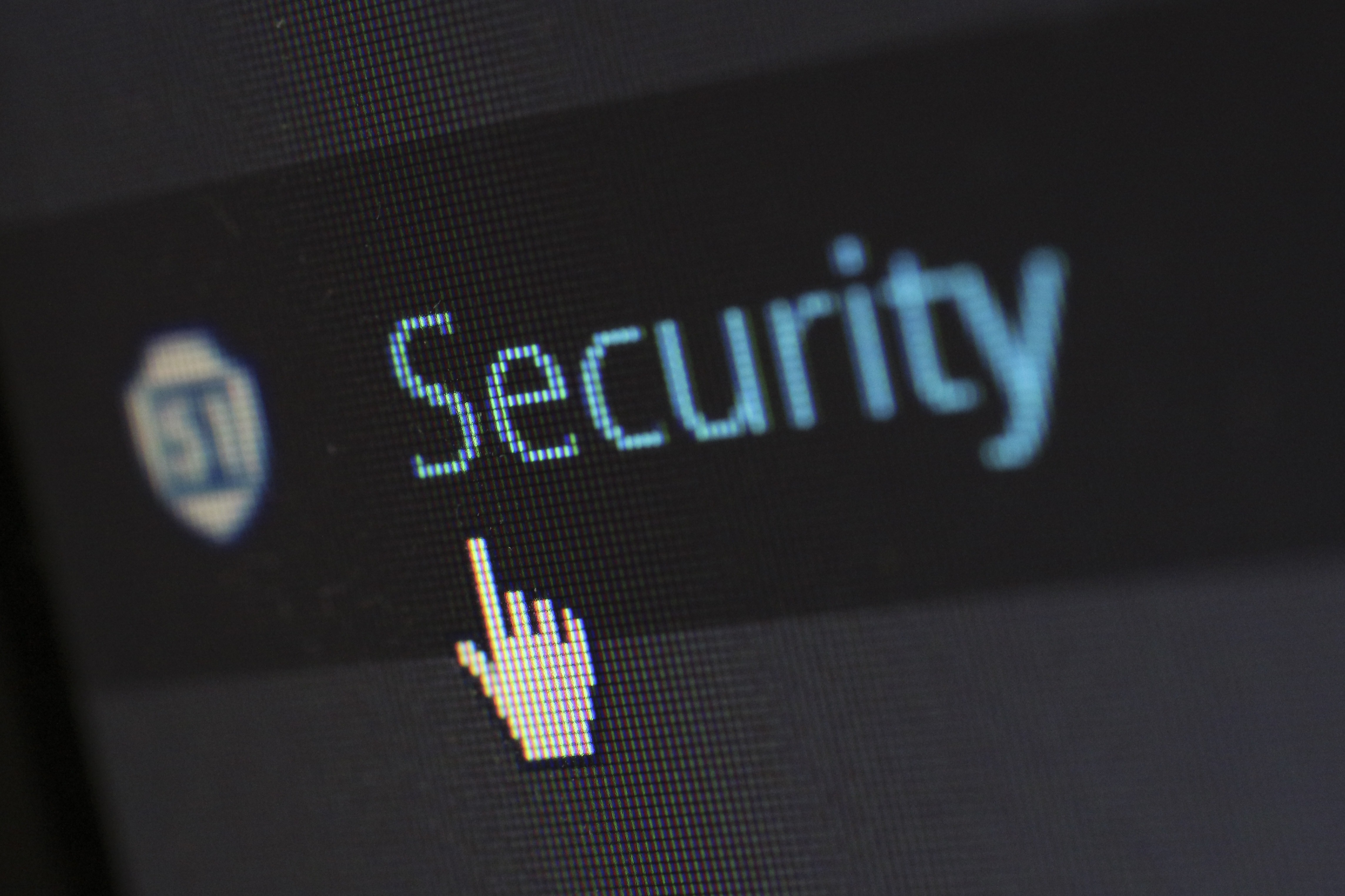 Canva - Security Logo